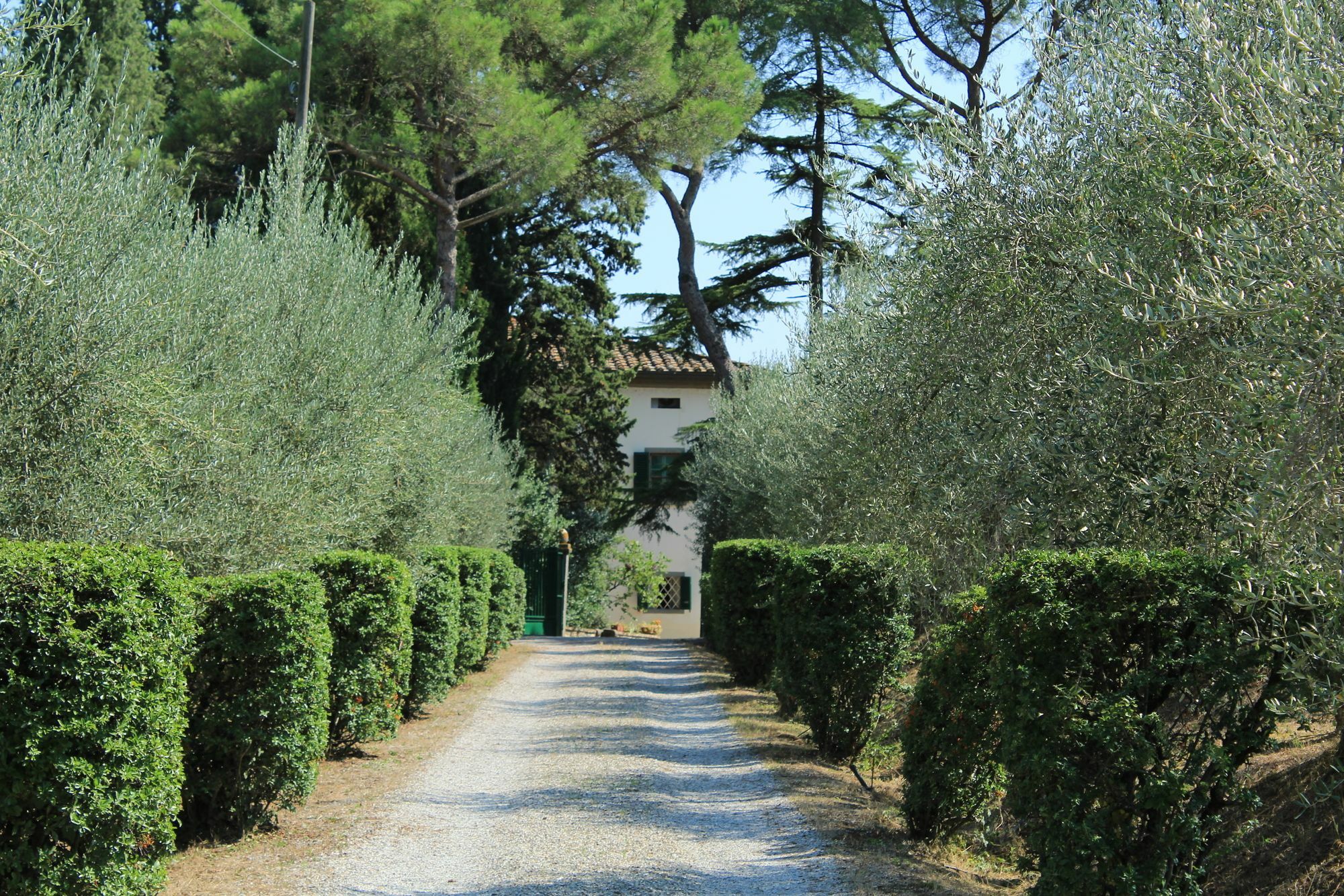 Agriturismo Villa La Morina Cortona Exterior foto